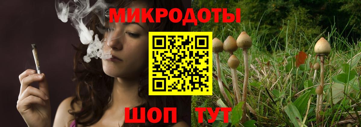 дарнет шоп  Галлюциногенные грибы Cubensis  Вход с VPN  Галлюциногенные грибы прущие грибы  Мурманск 