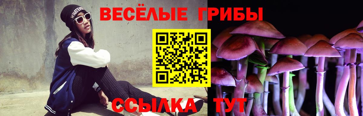 Галлюциногенные грибы MAGIC MUSHROOMS Мурманск